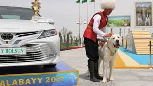 清晨8 點，從 烏茲別克斯坦 (uzbekistan) 希瓦 (khiva)古城，驅車北上。 9：30到達邊境。烈日下，推著大行李，列隊在 烏茲別克斯坦出境 關口，接受一個個查察員，一個個關卡，一次又一次緩緩比對驗證。 çµ²ç¶¢ä¹‹è·¯ä¸ŠåœŸåº«æ›¼æ–¯å¦çš„åœ‹å¯¶ é˜¿æ‹‰æ‹œçŠ¬ Bbc News ä¸­æ–‡