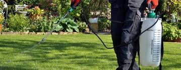 This diy lawn care thing is not so difficult if you educate yourself! Why You Should Choose Professional Weed Control Service Over Diy Gecko Green