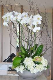 Phalaenopsis Orchid Plants Design For Lobby Flower Arrangements Flower Delivery Fresh Flower Delivery