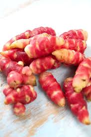 Oca Du Perou Beau Bon Original Oca Du Perou Perou Plante Potagere