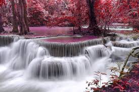 Blurred cheonjiyeon waterfall is a waterfall on jeju island, south korea with wooden bridge. Purple Waterfall 6000x4000 Wallpaper Teahub Io