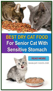 Best Dry Cat Food For Senior Cat With Sensitive Stomach Dry Cat Food Cat Food Sensitive Stomach