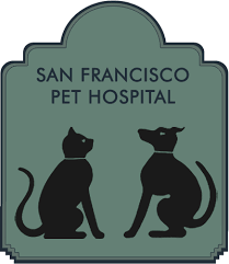 Pin by antonin giraud on sf spca vision pet clinic from www.pinterest.com. San Francisco Pet Hospital