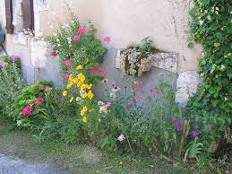 Découvrez 12 façons de l'aménager et la décorer pour en faire un véritable atout ! Planter Et Semer Dans La Rue Devant La Maison