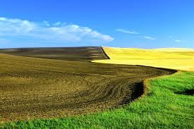 () the prairie province of saskatchewan, also known as the province of 100,000 lakes, shares very straight borders with manitoba in the east, alberta in the west, and the two u.s. Facts About Saskatchewan The Land Of Living Skies