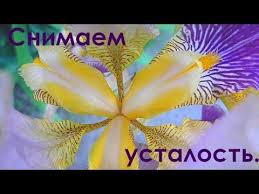 успокаивающая гипнотическая музыка для сна и лечения нервов скачать Lechebnaya Muzyka Dlya Snyatiya Negativa Stressa Ustalosti Depressii Youtube Muzyka Instrumentalnaya Muzyka Stress