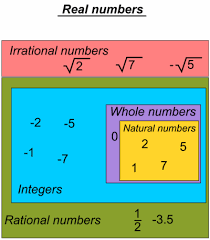 Category Whole Number The Work Of Gods Children