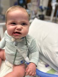 Brave Bear's Journey 🧸