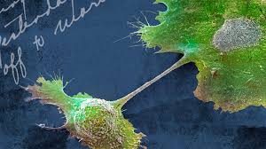 Ruled by the moon and characterized by the crab, cancer has so much going on in its watery depths. Cancer Overview Causes Treatments And Types