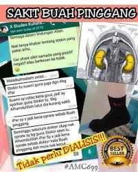 Kamus besar dari buah pinggang dalam bahasa indonesia. Stokin Vken Teknologi Jepun Jerman Shopee Malaysia
