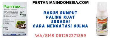 Racun semut atau nyamuk yang kita sembur pada waktu petang untuk menghalau atau membunuh nyamuk adalah contoh racun makhluk perosak. Racun Rumput Paling Kuat Ampuh Untuk Membasmi Gulma
