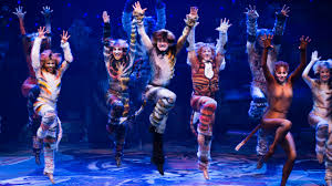 Andrew lloyd webber original broadway cast & 2 more. Everything You Need To Know About The Musical Cats Teen Vogue
