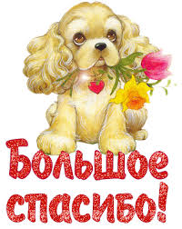 ÐÐ¾ÑÐ¾Ð¶ÐµÐµ Ð¸Ð·Ð¾Ð±ÑÐ°Ð¶ÐµÐ½Ð¸Ðµ