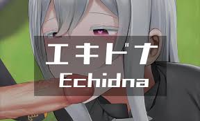 Echidna (v3EX) [Ginhaha(102020)]