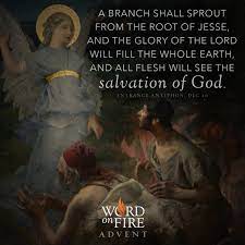 Bishop Robert Barron - “A Branch Shall Sprout From The Root Of Jesse, And  The Glory Of The Lord Will Fill The Whole Earth, And All Flesh Will See The  Salvation Of