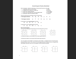 Solved Punnett Square Practice Worksheet Part A Vocabula Chegg Com Quiz worksheet characteristics of punnett squares study throughout punnett square practice worksheet answers. punnett square practice worksheet part