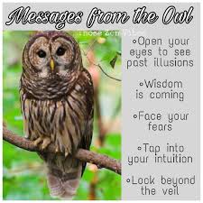 Birds And Their Spiritual Meanings Spirit Animal Owl Meaning Seeing Past Illusions Wisdom Is Coming Time To Face Your Fears Owl Spirit Animal Spirit Animal Meaning Animal Totem Spirit Guides