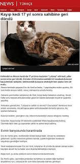 17 Yil Sonra Sahibine Kavusan Kedi Teknoseyir