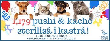 images?q=tbn:ANd9GcQts4_P-Bh4Ye_AESLzsn-6aElnO4p541D5HA&usqp=CAU