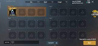 Sword Rage Pubg Mobile Custom Room Room Id 5773658 Facebook