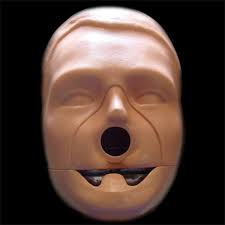 My Guests — Steve Fitch