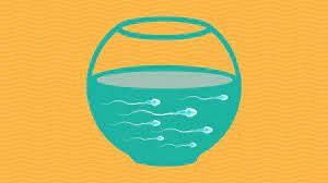 She is never enough of man's sperm. The 7 Step Checklist To Healthy Fertile Sperm