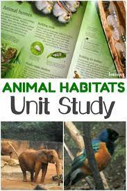 Homeschool Unit Studies Animal Homes Unit Study Unit Studies Homeschool Science Unit Studies Study Unit