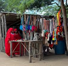 Image result for Wajira grahamiana