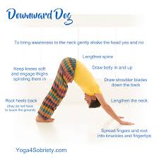 Take A Lil Inventory In Downward Dog Downward Dog Downward Facing Dog Yoga