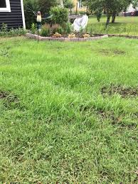 Image result for site:byggahus.se rullgräs