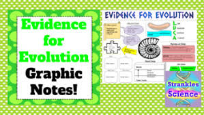 Biology Evidence For Evolution Graphic Notes Inb Or Anchor Chart Ngss