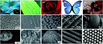 With these 81 printable flower patterns, you can learn how to make fabric flowers, paper flowers, and more. The Effects Of Bio Inspired Micro Nano Scale Structures On Anti Icing Properties Soft Matter Rsc Publishing Doi 10 1039 D0sm01683g