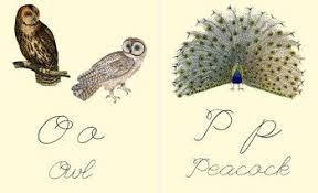 Birds That Start With A Vowel Abc Bird Flashcards Cursive Vintage Bird Images Nature Table Study Decor With Images Alphabet Flashcards Flashcards Vintage Birds