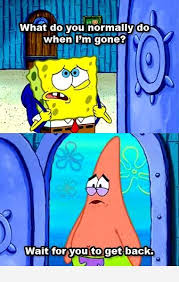 Spongebob What Do You Normally Do When I M Gone Next Lol Spongebob Spongebob Quotes Best Friends Forever