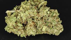 Check spelling or type a new query. Euphoria Wellness Missoula Menu Leafly