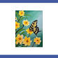 Paint Party - Butterfly
