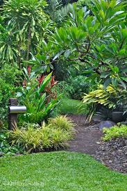 Tabu Tropical Paradise In Cairns Queensland Tropical Garden Design Tropical Landscaping Balinese Garden