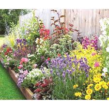 Bee And Butterfly Border Collection 3m X 60cm At Homebasecouk Cottage Garden Borders Small Garden Borders Garden Borders
