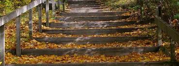 Faire l exersise de gram … maire. Faire Un Escalier De Jardin En Rondins De Bois
