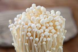 The 12 Most Expensive Mushrooms In The World Ventured