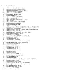 Image result for Prismatocarpus cordifolius