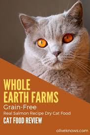 Whole Earth Farms Grain Free Real Salmon Recipe Dry Cat Food Review Oliveknows Cat Food Reviews Dry Cat Food Cat Food