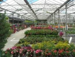 Horticulteur Pepinieriste Boyer Horticulture Pepiniere Producteur De Fleur Producteur D Arbre Poterie Interieur Poteri Horticulture Pepiniere Serre Horticole