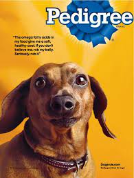 Funny Ad By Pedigree Showing A Man And A Dog Click Image To Read More Details Dogfood Pedigree Dog Food Dog Food Recipes Female Dog Names