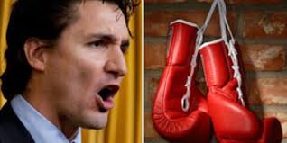 Justin Trudeau: Boxing Match With Tory Senator Patrick Brazeau To Air On  Sun News