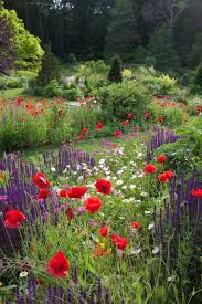 Chanticleer Garden Papaver Rhoeas Salvia Nemorosa Caradonna Oenothera Speciosa Beautiful Gardens Cottage Garden Design Cottage Garden