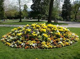 Grenoble Jardin Des Plantes Museum Grenoblecity Dailyphoto Daily Photooftheday Parc Museum France Plante Jardin Jardins Plante