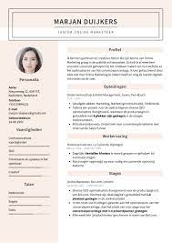 Cv Maken Als Student Zo Doe Je Dat 5 Voorbeelden
