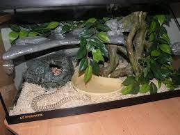 Naturalistic Snake Enclosures Reptile Forums Snake Enclosure Snake Terrarium Snake Cages