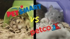 Other color variations such as violet and sapphire that are less common can be as much as $300. Petsmart Vs Petco Who Has Better Small Animal Care Youtube